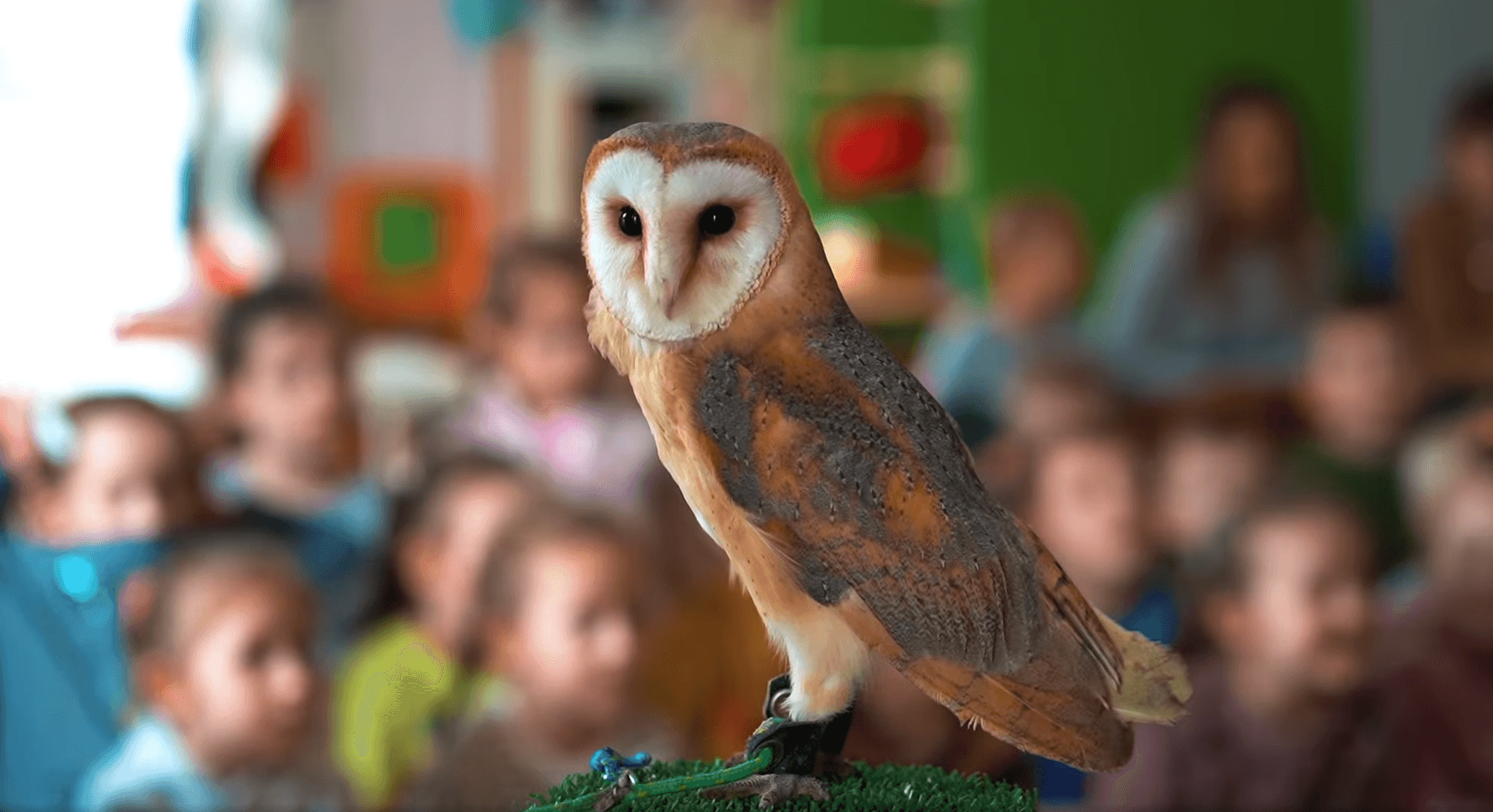 Spotkania ze zwierzętami