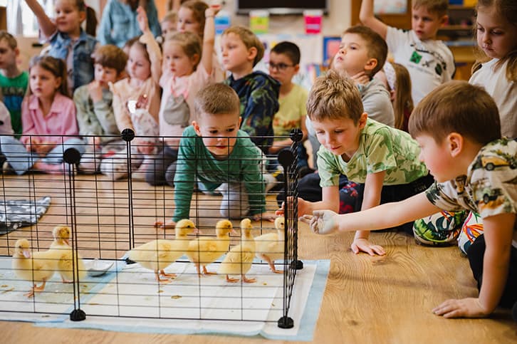 Spotkania ze zwierzętami